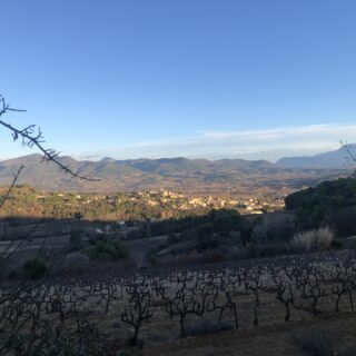 vinsobres dans la drôme
